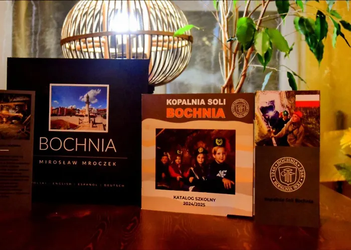 Daire Salt Mine By Oth Bochnia